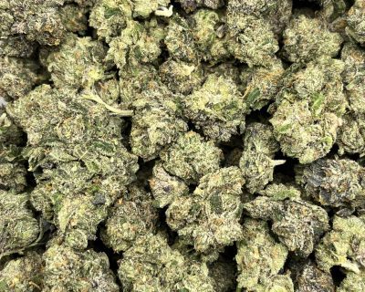 MINT CHOCOLATE CHIP smalls (MEGA STEAL) (SKULLS CUT) - Image 3